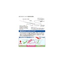 BOMBETA ARUKAZIK AR CARO