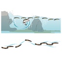 DUEL AILE MAGNET TB  DARTER SLIM (F1259) FLOATING