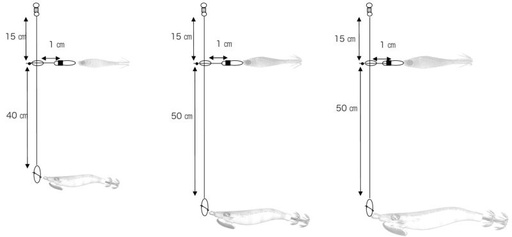 YAMASHITA HATO IKA SET (K1+P3+F5)